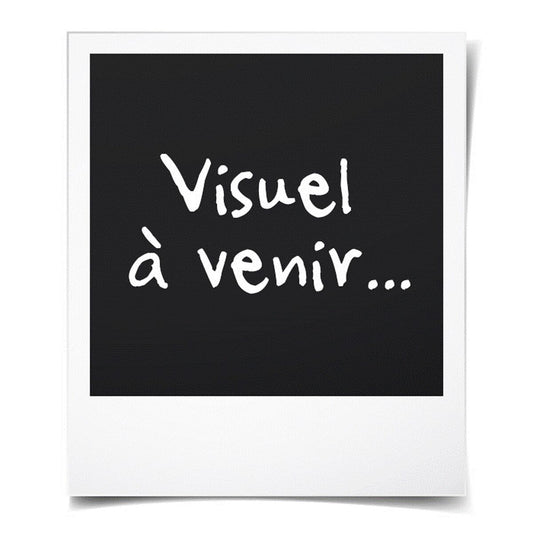 V3H3FE3802E9065555ED3EFF99C2547A98CR5778817P5