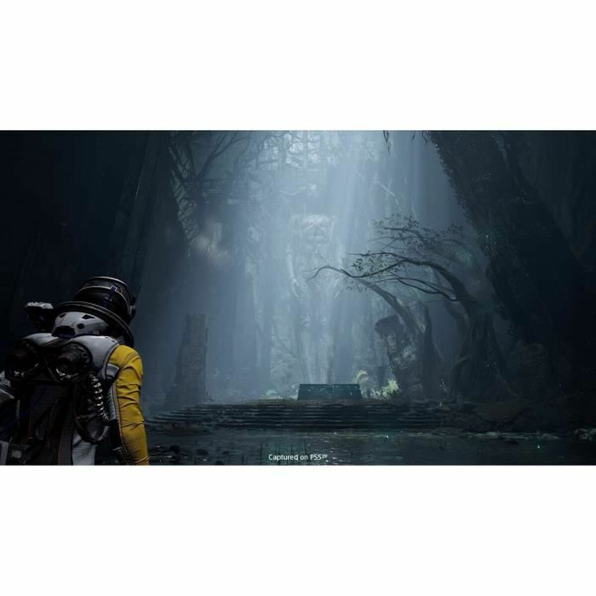 V6H9CC06574B97B64C38CB94DAE07AED446R3750942P2