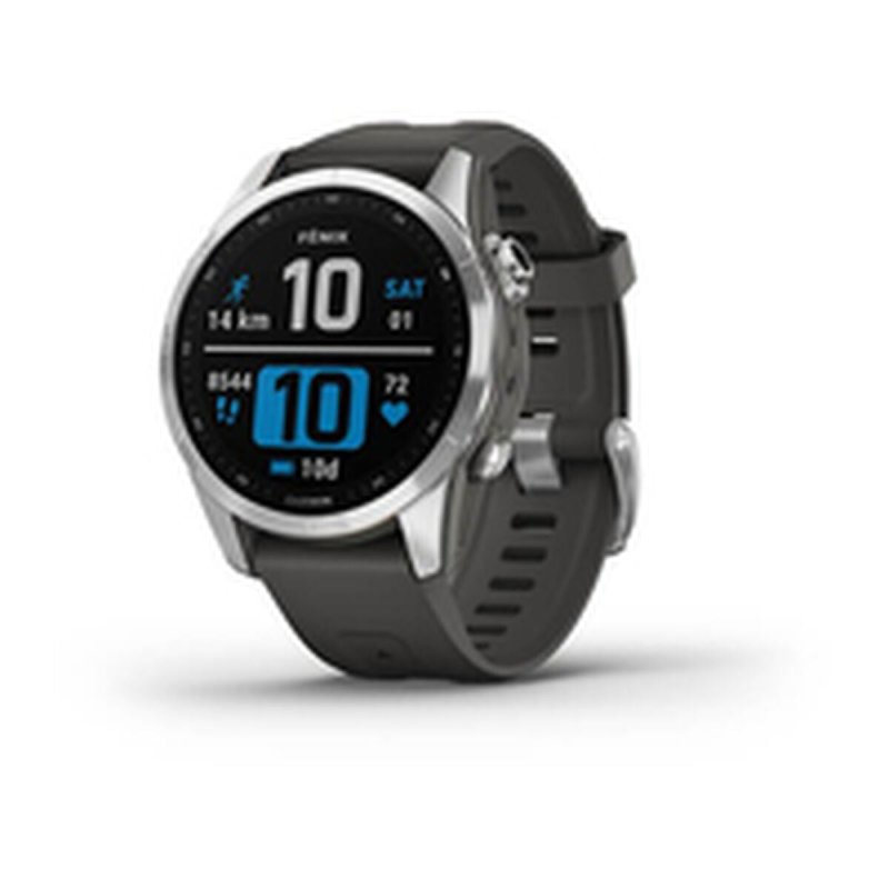 Montre intelligente GARMIN 010 - 02539 - 01 Gris 1,2" - ONLYTECK