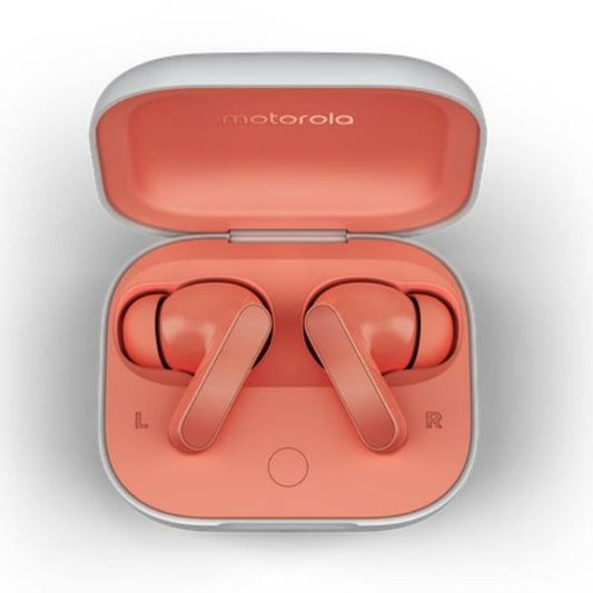 V3H1BA42423E65E8A377AFAB6BA70D396FER5055797P1