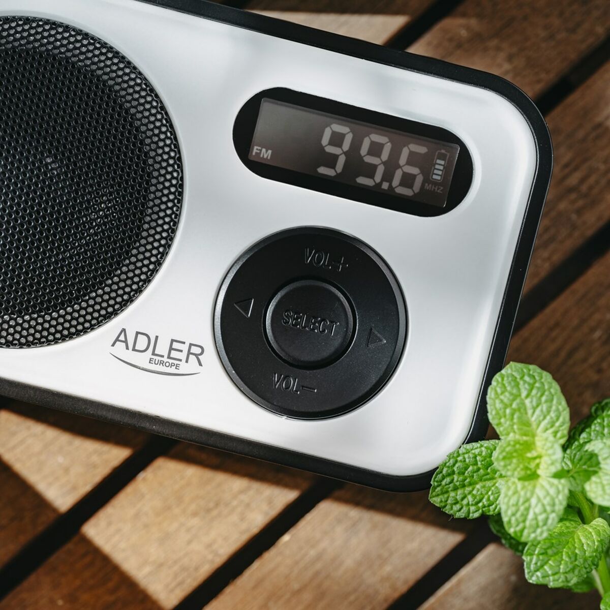 V3H4F56C2F08E24C673AB0CCB9D1AA89460R5832060P10