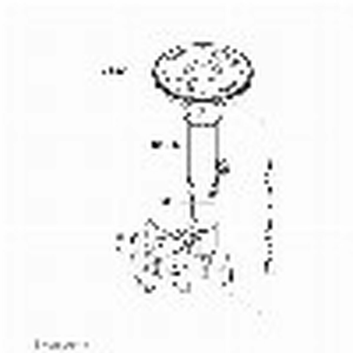 V3HEC8B293C3D6083B08332748C213BCD5BR5593314P9